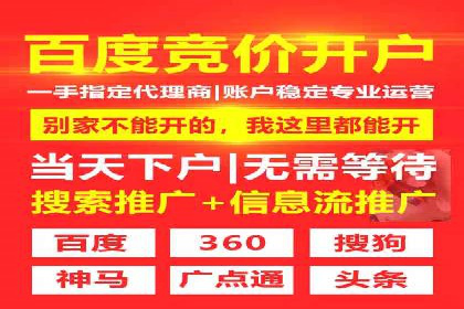 SEM推广策略：成功案例解析